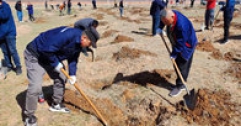 【市城市燃熱集團(tuán)富泰熱力】公司組織員工參加義務(wù)植樹